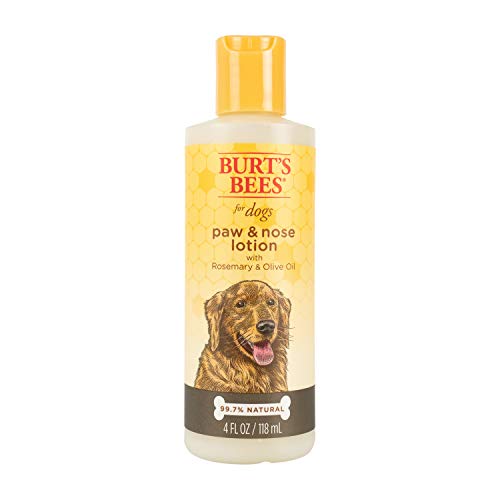 Burt's Bees for Pets for Dogs All-Natural Paw & Nose Lotion with Rosemary & Olive Oil | For All Dogs and Puppies, 4oz | Best Treatment for All Dogs and Puppies With Dry Nose and Paws