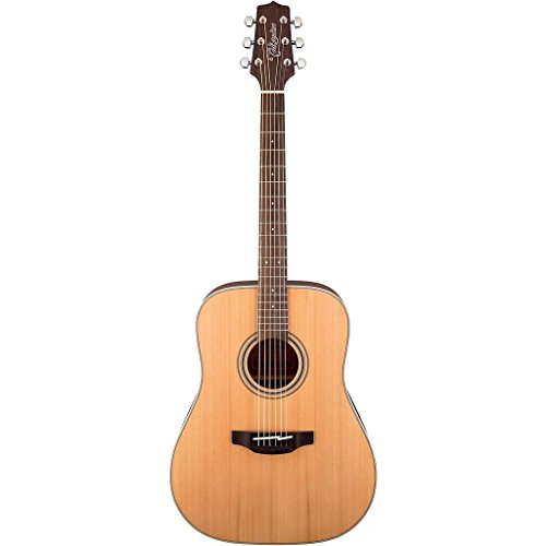 Takamine G Series GD20 Dreadnought Solid Top Acoustic Guitar Satin Natural