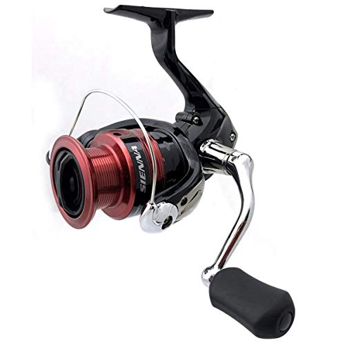 SHIMANO Sienna 500 FG Clam Sienna