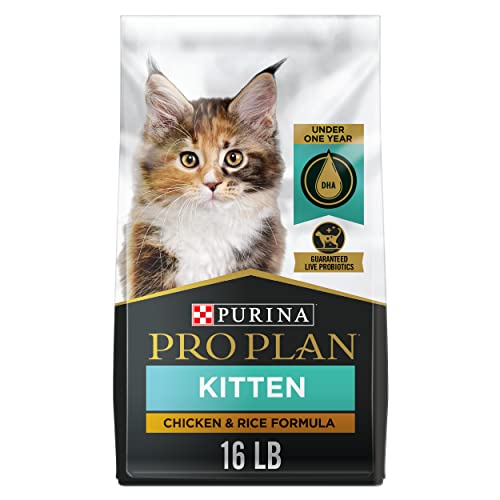 Purina Pro Plan With Probiotics, High Protein Dry Kitten Food, Chicken & Rice Formula - 16 Lb. Bag