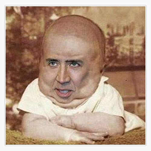 Nicolas Cage/Baby Sticker Vinyl Bumper Sticker Decal Waterproof 5'