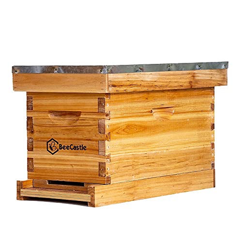 BeeCastle 5 Frame Bee Hive Nuc Box Coated with 100% Beeswax Includes Beehive Frames and Waxed Foundations