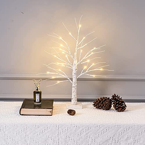 ESTTOP 2FT 24LT Led Lighted Birch Tree, 24' White Money Artificial Tree Christmas Decorations Indoor, Battery Powered Timer for Winter Wedding Home Mantle Table Top Centerpieces Valentines Day Decor