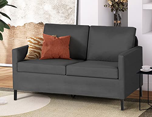 TYBOATLE Fabric Modern Small Loveseat Sofa Couch for Living Room, 51' W Upholstered 2-Seater Love Seats w/Iron Legs for Compact Small Space, Apartment, Bedroom, Dorm, Office (Dark Grey)