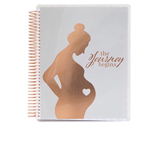 Recollections Creative Year Pregnancy Planner