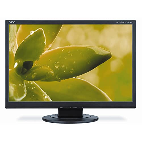 NEC AccuSync AS192WM-BK 19-Inch Screen LCD Monitor