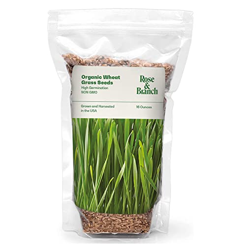 Organic Wheat Grass Seeds, Cat Grass Seeds - 16Ounces - 100% Organic Non-GMO - Hard Red Wheat, Harvested in The US. Easy to Grow Green