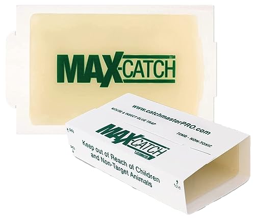 Catchmaster Max-Catch Mouse & Insect Glue Trap 72PK, Mouse Traps Indoor for Home, Sticky Pest Control Adhesive Tray for Catching Bugs, Rats & Rodents, Non Toxic Bulk Unscented Glue Boards