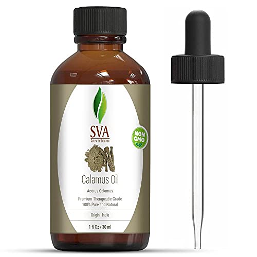 SVA Calamus Essential Oil 1 Oz 100% Pure Natural Premium Therapeutic Grade with Dropper for Diffuser, Aromatherapy, Skin, Hair & Massage