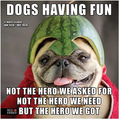 RED EMBER Dogs Having Fun 2024 Hangable Monthly Wall Calendar | 12' x 24' Open | Thick & Sturdy Paper | Giftable | Kids Teen Cute Dog Fun Funny | Every Day is a Blast