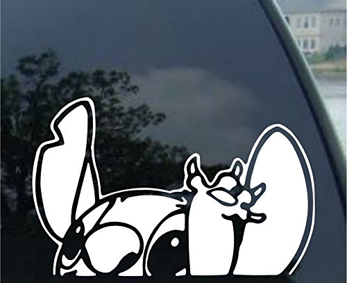 Pervertees Lilo - Stitch - Waiving - Auto Window Sticker Decal for Car Truck SUV Motorcycle (5.5', White)