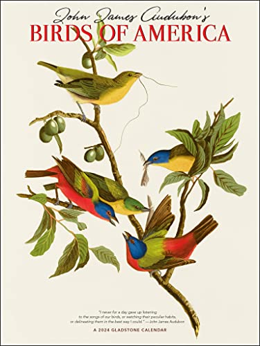 Gladstone Media, Audubon Birds of America 2024 Wall Calendar