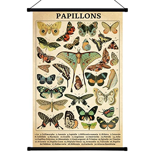 Geyee Vintage Poster Wall decor Rustic Hanging Wall Art Illustrative Reference Chart Prints Picture for Living Room Office Classroom Bedroom Frame, 15.8 x 23.6 Inch(Butterfly)