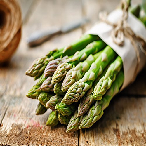 Hand Picked Nursery Mary Washington Asparagus Bare Root Plants -2yr-Crowns - Count - 10 - Free Plant Boost Included -