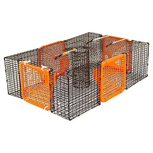 Protoco - ST4SP -  9” x 19” x 24” (½” x 1” Mesh) Shrimp and Crawfish Trap, Freshwater & Saltwater Cage Style Fishing Trap for Crawfish, Crayfish, Crawdads, Shrimp - Black/Orange