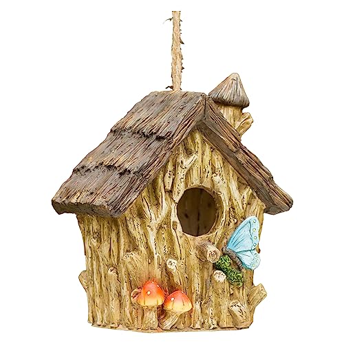 Dawhud Direct Hanging Bird Houses for Outside, Hand-Painted Bird Houses for Outdoors Decorative Birdhouses (Butterfly and Mushrooms) Solid Made for Bluebirds, Sparrows, Chickadees and Purple Martins
