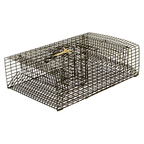 Protoco - CT18R - 11” x 18” (½” x 1” Mesh) -  Crawfish and Shrimp Trap, Freshwater & Saltwater Cage Style Fishing Trap for Crawfish, Crayfish, Crawdads, Shrimp - Black