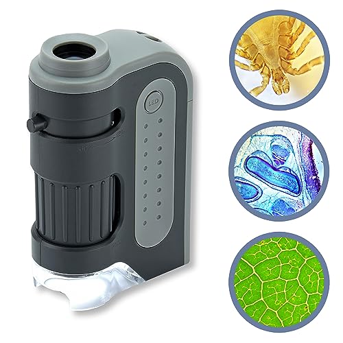 Carson MicroBrite Plus 60x-120x LED Lighted Pocket Microscope, Portable Handheld Microscope STEM Toy, Mini Microscope for Student Science Lab, Educational Portable Microscope (MM-300)
