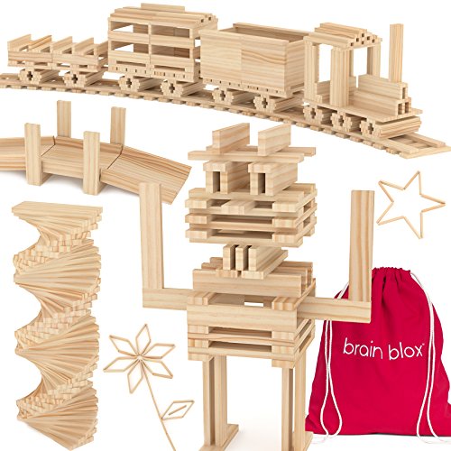 Brain Blox Natural Wooden Blocks for Kids Ages 4-8 - Montessori Blocks for Hands-on Learning - STEM and Architecture for Kids (300 Building Blocks)