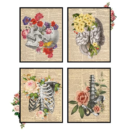 Insire Anatomy Wall Art, Skull Art, Human Skeleton Poster, Anatomy Art, Human Skull Poster, Anatomy Posters for Walls, Anatomy Pictures, Skeleton Pictures for Wall (8x10 Unframed)