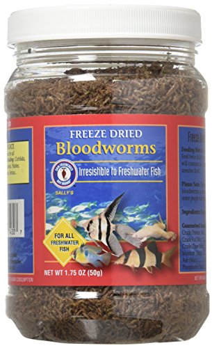 San Francisco Bay Brand ASF71430 Freeze Dried Bloodworms for Freshwater Fish, 50gm