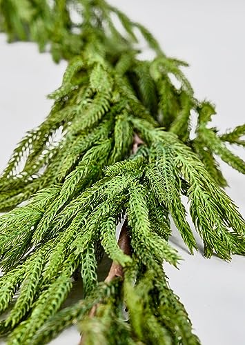 Afloral Real Touch Norfolk Pine Garland - 180' Long