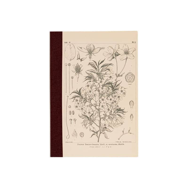 ほぼ日 Hobonichi Techo Accessories Hobonichi Plain Notebook (A6) - Yamazakura