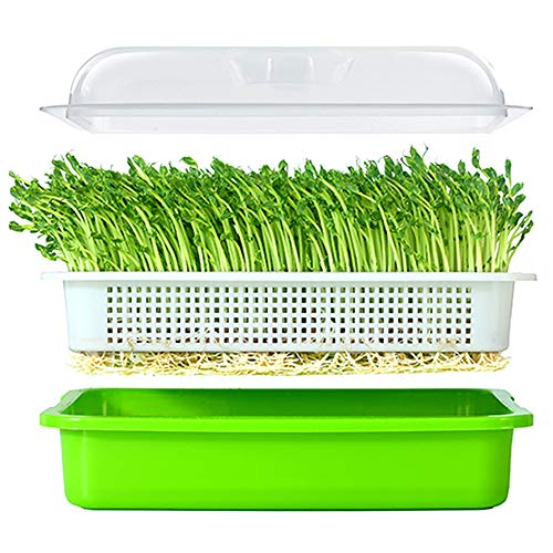 LeJoy Garden Seed Sprouter Tray BPA Free PP Soil-Free Big Capacity Healthy Wheatgrass Grower with Lid Sprouting Kit 13.4x9.84x4.72 inches,Green