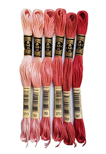 DMC 6-Strand Embroidery Cotton Bundle - Salmon Color Family - 6 Skeins of Thread - 8.7yd Skeins