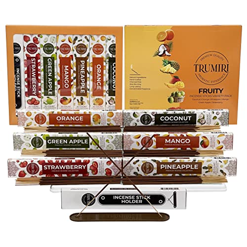 Fruity Incense Sticks Variety Pack - 120 Insence Sticks (6 Incents x 20 Insenses) - Coconut Orange Pineapple Mango Strawberry Apple - Natural Incense Set Inciensos with Stick Incense Holder