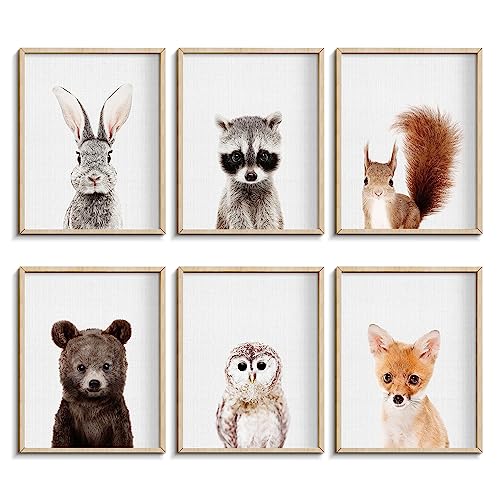Nursery Baby Room Wall Art Decor, Jungle Nursery Baby Animals Nursery Decorations, Cute Nursery Safari Decor Baby Bedroom Decorate(8'x10', UNFRAMED) (Forest)