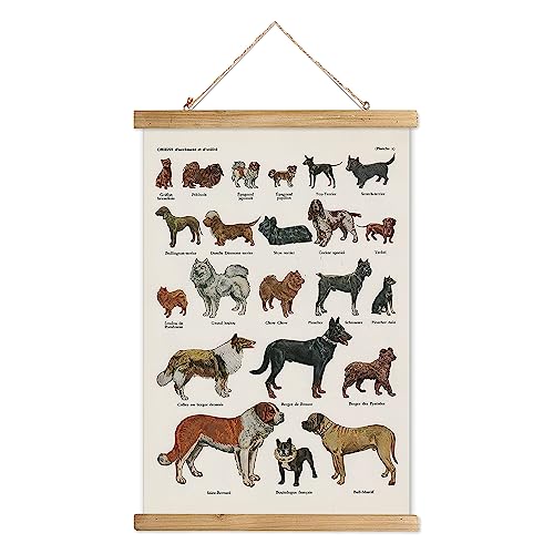 XIAOAIKA Classic Dog Breeds Illustrated Poster - Vintage Canine Varieties Wall Art with Wooden Hanger - Educational and Decorative Print for Pet Lovers and Breeders 16 x 23 Inches