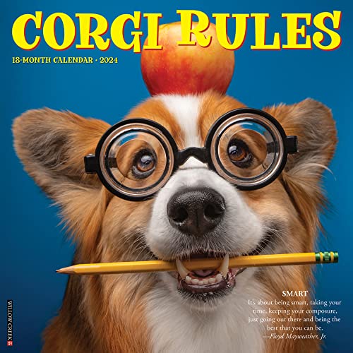 Willow Creek Press Corgi Rules Monthly 2024 Wall Calendar (12' x 12')