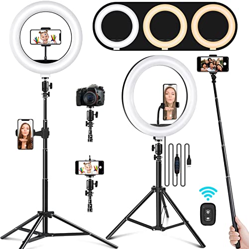 Ring Light with Stand and Phone Holder, 10.2' Selfie Ring Light with 65' Adjustable Tripod Stand, Dimmable LED Ring Light Kit for Tiktok/YouTube/Makeup/Photography, Selfie Stick and Ring Light 2 in 1
