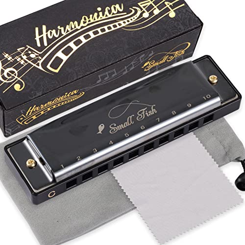 Harmonica for Kids and Adults, Beginners Blues Harmonica Mouth Organ in the Key of C, 10 Holes 20 Notes Diatonic Harp Musical Instrument for Boy, Birthday Gifts Christmas Stocking Stuffers for Kids