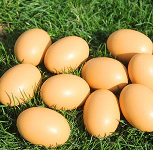 YunKo 6Pcs Wooden Brown Fake Nest Eggs Easter Eggs for Craft Get hens to Lay Eggs