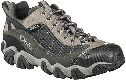 Oboz Firebrand II Low B-Dry Hiking Shoe - Men's Gray, 10.5