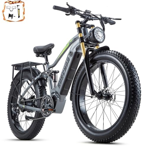 DAMSON Electric Bike for Adult 1000W Ebike 48V 20AH Removable Battery 26'X4'Fat Tire up to 30MPH &76 Miles Long Range Off Road Beach Mountain Electric Bicycle with Dual Hydraulic Disc Brakes