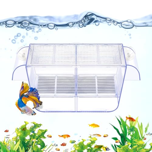 DaToo Fish Breeding Box Aquarium Holding Tank Transparent Fish Isolation Box Acclimation Hatchery Incubator Breeder Box for Baby Fish Betta Shrimp Clownfish Guppy Large