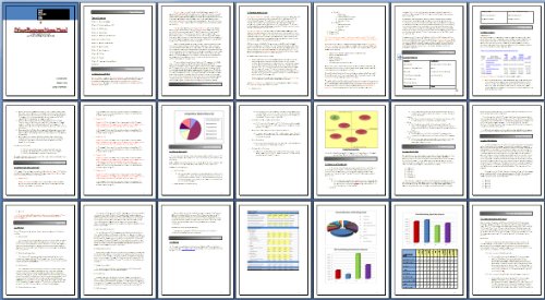 Marketing Plan Template for Outdoor Landscape Lighting Contractor Business MS Word/Excel