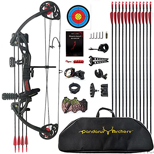 PANDARUS Compound Bow Archery for Youth and Beginner, Right/Left Handed,19”-28” Draw Length,15-29 Lbs Draw Weight, 260 fps, Package with Archery Hunting Equipment Carry Case（Black Right Handed Pro）