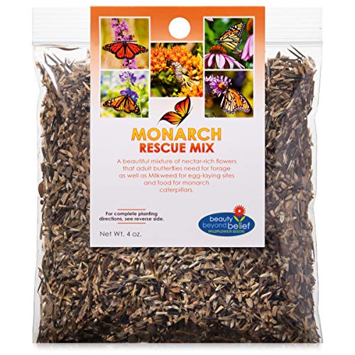 Monarch Butterfly Rescue Wildflower Seeds 4oz. Bulk Open-Pollinated Wildflower Seed Packet, No Fillers, Annual, Perennial Milkweed Seeds for Monarch Butterfly