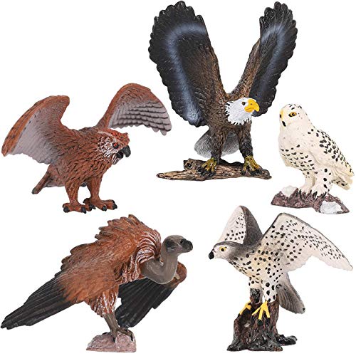 5 PCS Birds of Prey Figurines, Plastic Realistic Animal Replica Models Toy Figures Educational Set for Collection (Birds of Prey)