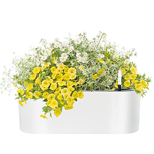 SAROSORA 16' Oval Self Watering Planter with Water Level Indicators for Plants & Flower Home Garden Outdoor Indoor Succulent | Herb pots | Window Box (1, Oval, White)