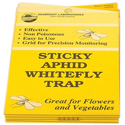 HGSLWFT 5 Count Sticky White Fly Trap (Pack of 5)