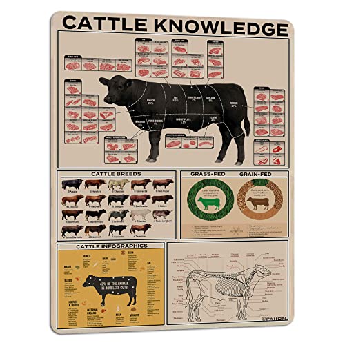 PAIION Cattle Knowledge Metal Tin Sign Breed Information Poster Animal Farm Anatomy Club School Educational Wall Decoration 16x12 Inch