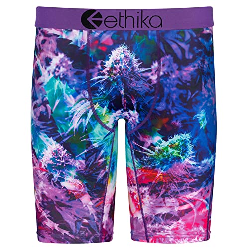 Ethika Mens Boxer Brief | Big Haze (PRP, X-Large)