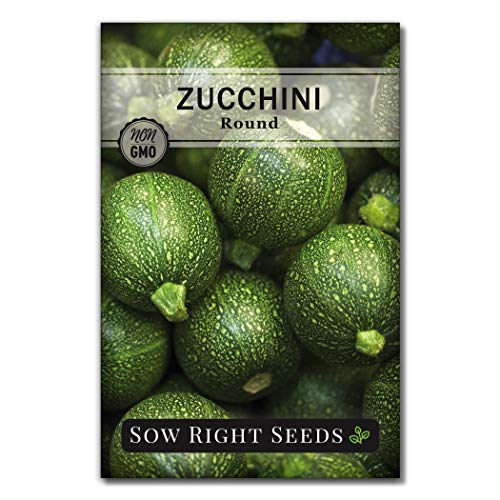 Sow Right Seeds - Round Zucchini Seed for Planting - Non-GMO Heirloom Packet with Instructions to Plant a Home Vegetable Garden - Unique Globe Squash - Summer Vining Variety (1)