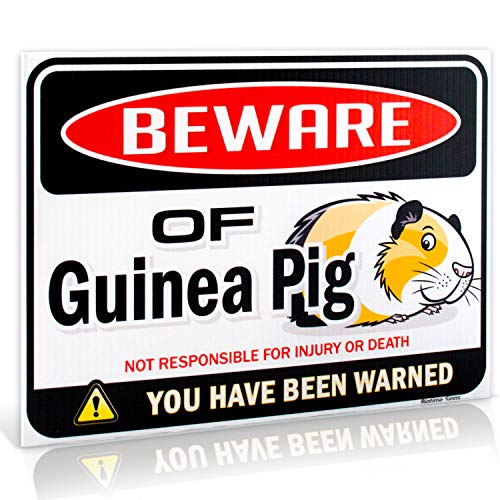Bigtime Signs Beware of Guinea Pig Warning Sign - 9' x 12' - Funny guinea pig ornament Gag Gifts for window, office, bedroom decor, lockers - Corrugated Plastic Guinea Pig Gifts for Indoor or Outdoor