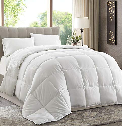 Chezmoi Collection All Season Queen Size Down Alternative Comforter - Plush Microfiber Fill - Box Stitch Quilted - Duvet Insert with Corner Tabs (Full/Queen, White)